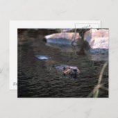 Briefkaart (Voorkant / Achterkant)