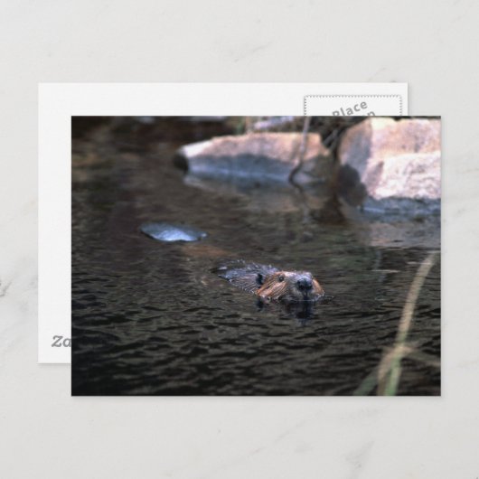 Briefkaart (Voorkant / Achterkant)