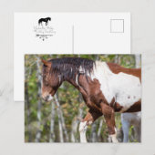 Briefkaart (Voorkant / Achterkant)