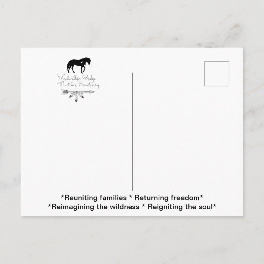 Briefkaart (Achterkant)