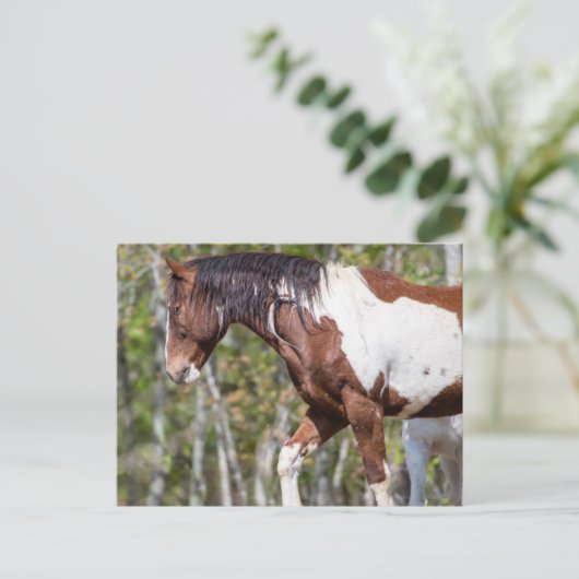 Briefkaart (Staand voorkant)