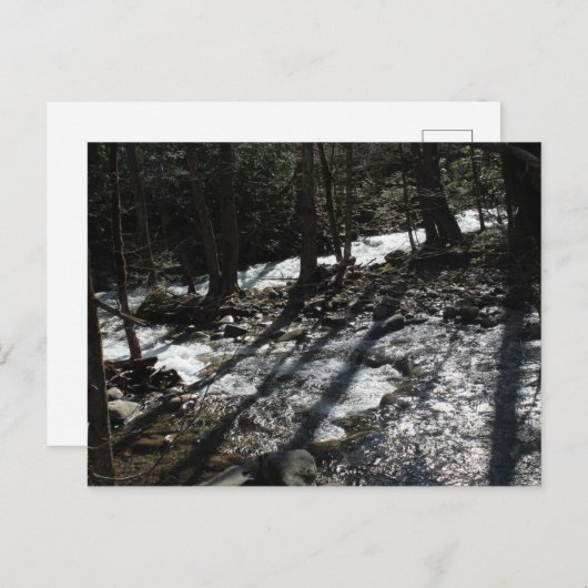 Briefkaart (Voorkant / Achterkant)