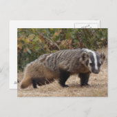 Briefkaart (Voorkant / Achterkant)