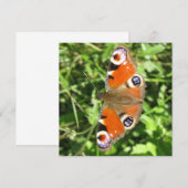 Briefkaart (Voorkant / Achterkant)