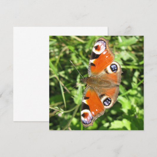 Briefkaart (Voorkant / Achterkant)