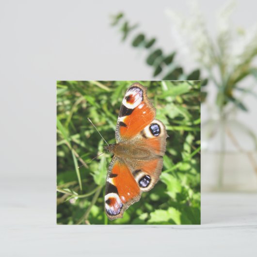 Briefkaart (Staand voorkant)