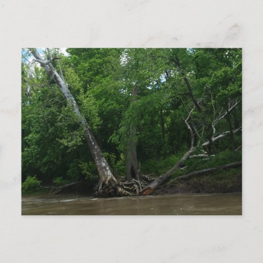 Briefkaart (Voorkant)