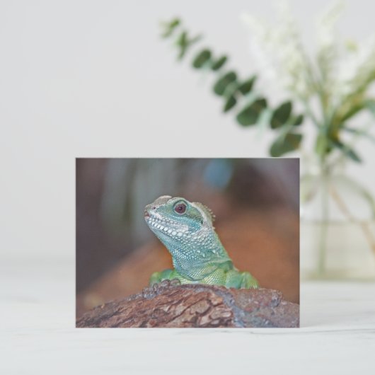 Briefkaart (Staand voorkant)