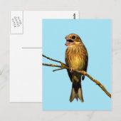 Briefkaart (Voorkant / Achterkant)