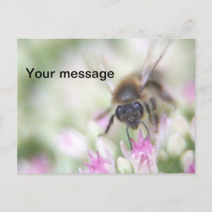 Briefkaart