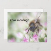 Briefkaart (Voorkant / Achterkant)