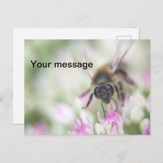 Briefkaart (Voorkant / Achterkant)