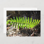 Briefkaart (Voorkant / Achterkant)