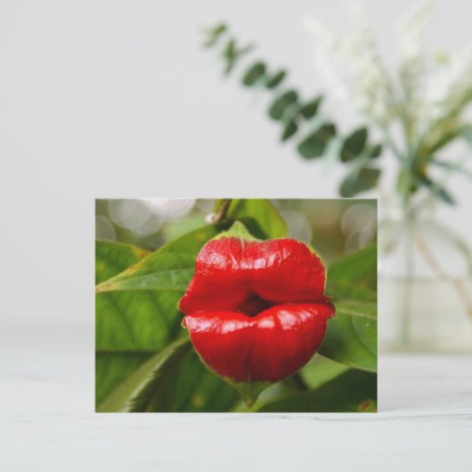 Briefkaart (Staand voorkant)