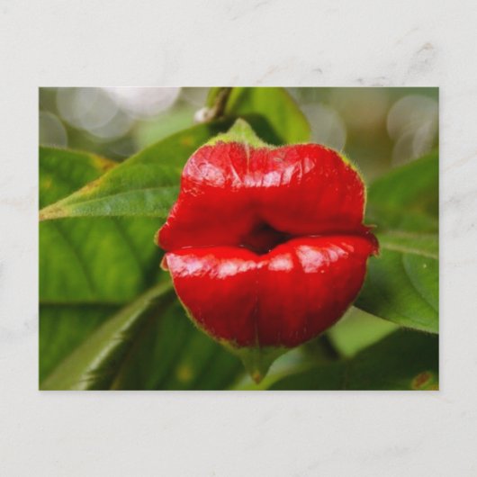 Briefkaart (Voorkant)