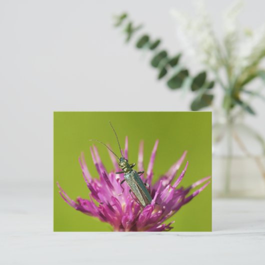 Briefkaart (Staand voorkant)