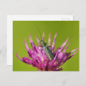 Briefkaart (Voorkant / Achterkant)