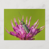 Briefkaart (Voorkant)