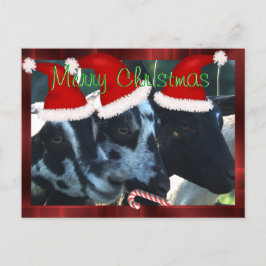 Briefkaart 2 van Kerstmis van de geit Kinder - kan