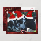 Briefkaart 2 van Kerstmis van de geit Kinder - kan (Voorkant / Achterkant)