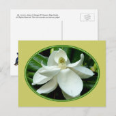 Briefkaart 2 van Magnolia Bloom (Voorkant / Achterkant)