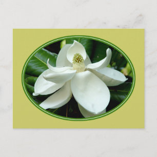 Briefkaart 2 van Magnolia Bloom