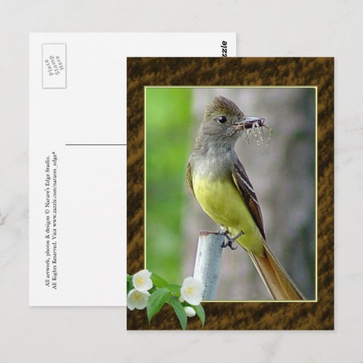 Briefkaart 2 voor geweldige brochure (Voorkant / Achterkant)