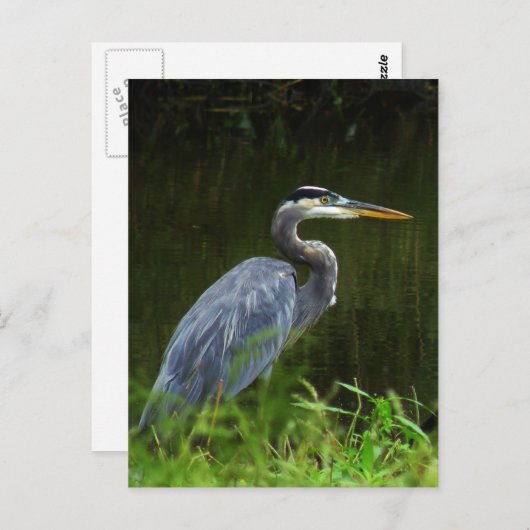 BRIEFKAART 3 (Voorkant / Achterkant)