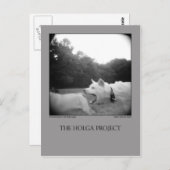 BRIEFKAART 7 (Voorkant / Achterkant)