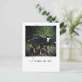 BRIEFKAART 8 (Staand voorkant)