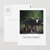 BRIEFKAART 8 (Voorkant / Achterkant)