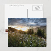 BRIEFKAART ~ "A Daisy Sunset" (Voorkant / Achterkant)