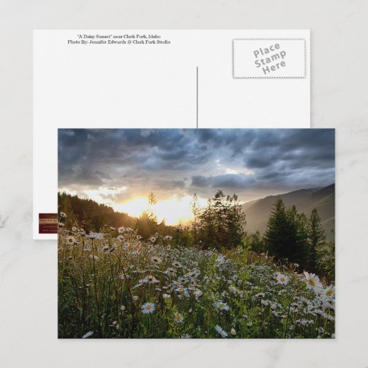 BRIEFKAART ~ "A Daisy Sunset" (Voorkant / Achterkant)