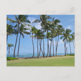 Briefkaart aan de kust van Hawaï