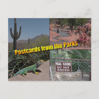 Briefkaart aan de Senaat