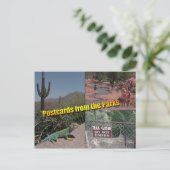 Briefkaart aan het Parlement (Staand voorkant)