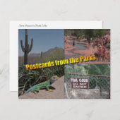 Briefkaart aan het Parlement (Voorkant / Achterkant)