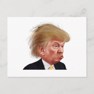 Briefkaart aan het Witte Huis