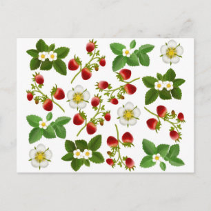 Briefkaart aardbeien