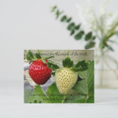 Briefkaart aardbeien (Staand voorkant)