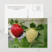Briefkaart aardbeien (Voorkant / Achterkant)