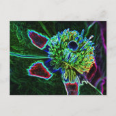 briefkaart abstract Rock Roos (Voorkant)