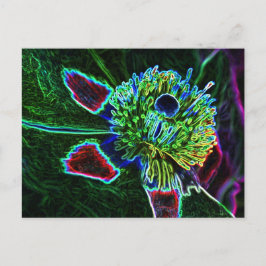 briefkaart abstract Rock Roos