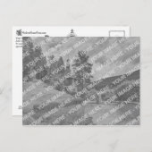  Briefkaart achterzijde - Fancy C-ontwerp (Voorkant / Achterkant)