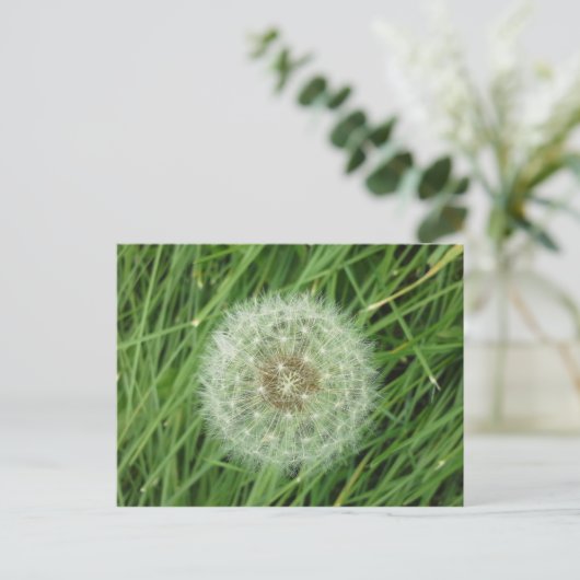 BRIEFKAART - AFBEELDING NATUUR (Staand voorkant)