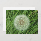 BRIEFKAART - AFBEELDING NATUUR (Voorkant / Achterkant)