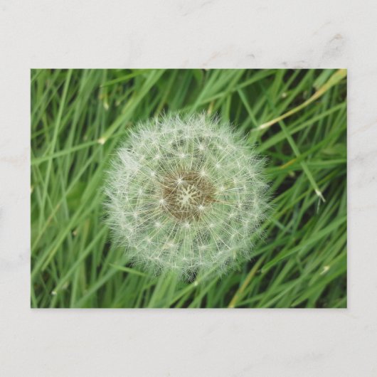 BRIEFKAART - AFBEELDING NATUUR (Voorkant)