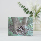 BRIEFKAART - AFBEELDING NATUUR (Staand voorkant)