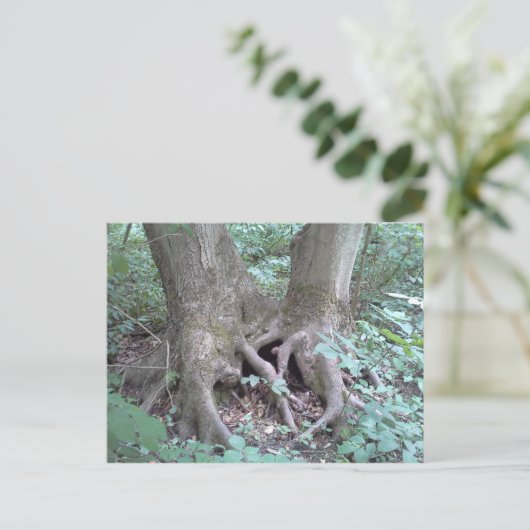 BRIEFKAART - AFBEELDING NATUUR (Staand voorkant)