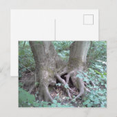 BRIEFKAART - AFBEELDING NATUUR (Voorkant / Achterkant)